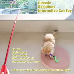 Itopfox Interactive Cat Toy with Retractable Wand & Feather Refills for Indoor Cats to Chase, Exercise & Play