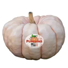 Heirloom Pumpkin - each