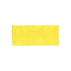 JAM Paper #10 Business Translucent Vellum Envelopes 4.125x9.5 Primary Yellow PACV356