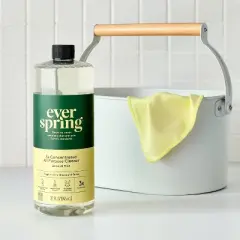 Lemon & Mint Ultra-Concentrated All Purpose Cleaner - 32oz - Everspring&trade;