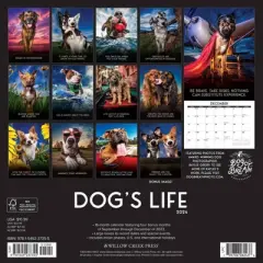 Willow Creek Press 2024 Wall Calendar 12"x12" Dog's Life