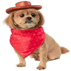 Rubies Toy Story Woody Pet Toy Bundle