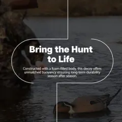 Avian-X Power Shaker Pintail Motion Duck Decoy Floating Surface Feeder for Hunting with Shaker Module Foam Filled Body, Multicolor