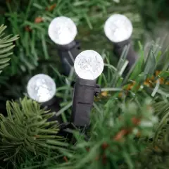 Northlight LED G12 Berry Christmas Lights - Pure White - 16' Black Wire - 50 ct