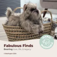 Bearington Cairn Terrier Stuffed Animal, 13 Inch Realistic Stuffed Animal, For Ages 3-14