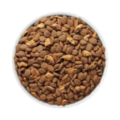 Purina ONE Tender Selects Blend with Real Salmon Adult Premium Dry Cat Food