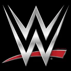 Boy's WWE Chrome Logo T-Shirt