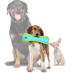 DuraForce Bone Dog Toy - Blue/Green - M/L