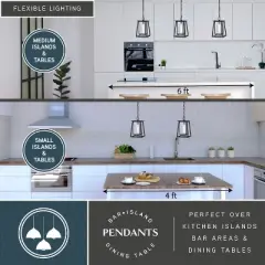 VAXCEL Blackwell Cage Frame 1 Light Black Outdoor Pendant Lantern Clear Glass