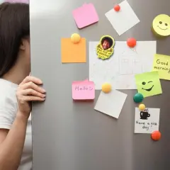 NMR Distribution Bob Ross 3" Funky Chunky Magnet: "Joy of Painting"