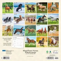 Plato 2023-2024 Wall Calendar 12"x12" Magnificent Horses