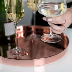 Viski Tray, Round Gold Serving Tray, Stainless