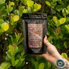 Bones Coffee Company World Tour Sample Pack
