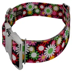 Country Brook Petz 1 1/2 Inch Premium Daisy Fields Dog Collar