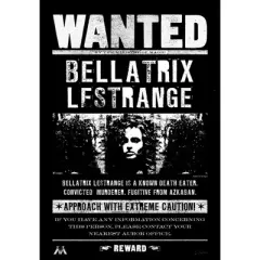 Men's Harry Potter Bellatrix Wanted Poster T-Shirt