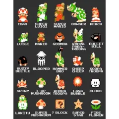 Men's Nintendo Super Mario Bros Character Guide T-Shirt