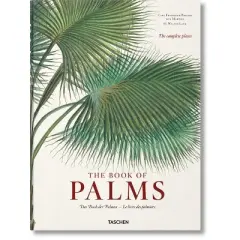 Martius. the Book of Palms - by  H Walter Lack (Hardcover)