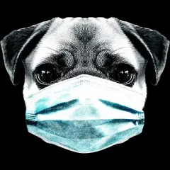 Junior's Design By Humans Masked Pug By clingcling T-Shirt