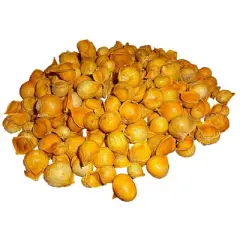 Morel Distribution Co | Japanese Garlic (Ajo Japones) 100% Natural!!! 30 (Count per bag) 1.5 oz