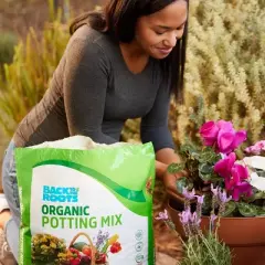 Back to the Roots 25.7qt Organic Potting Mix All Purpose Specialty Blend