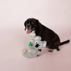 PetShop by Fringe Studio Koala Dog Toy