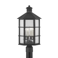 Troy Lighting Lake County 4 - Light Post Light in  French Iron Clear Seeded Shade