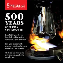 Spiegelau Perfect Serve Cocktail Bar Mixing Glass - Bartender Cocktail Stirring Glass - Mixing Pitcher for Cocktails, 22.4 oz