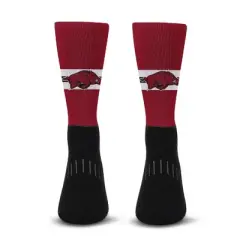 NCAA Arkansas Razorbacks Streak Team Color Crew Socks - L