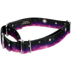 Country Brook Petz Heavenly Space Martingale Dog Collar (1/2 Inch, 2XS)