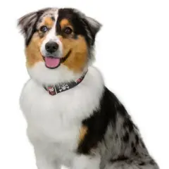 Country Brook Petz 1 1/2 Inch Premium I Love Mom Dog Collar