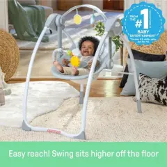 Ingenuity Sun Valley Milestone Swing - Gray
