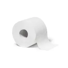 100% Recycled Toilet Paper Rolls - Everspring&trade;