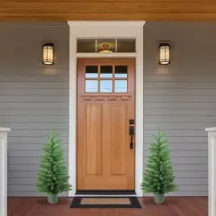 Northlight 3' Unlit Potted Artificial Christmas Tree Medium Norway Spruce