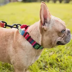 Leashboss Pattern Martingale Dog Collar, Reflective No-Pull Training Collar for Puppies and Dogs