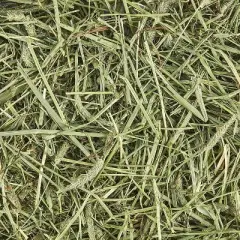 Kaytee All Natural Timothy Hay for Guinea Pigs, Rabbits & Other Small Animals - 6 Pound