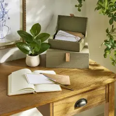9.5" Faux Mini Green Leaf Plant - Hearth & Hand&trade; with Magnolia