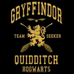 Boy's Husky Harry Potter Gryffindor Quidditch Gold Team Seeker