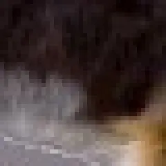 PoochPad Reusable Male Wrap Diapers for Pets