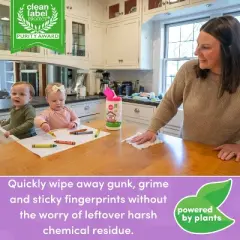 Dapple All Purpose Lavender Cleaning Wipes - 75ct