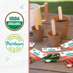 Back to the Roots 5pk Organic Peppers Seeds Variety