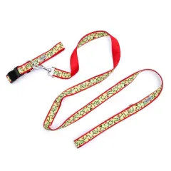 The Worthy Dog Lit Dog Leash