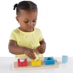 Kaplan Early Learning Basic Shape and Color Sorter