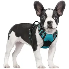 rabbitgoo Dog Harness No Pull with 2 Leash Clips, Control Handle for Small Dogs, Teal, S