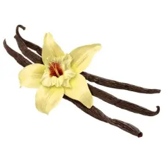Gourmet Vanilla Beans, Whole Grade A Vanilla Pods by Its Delish