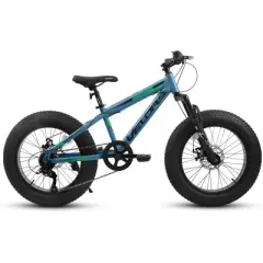 RISOKEYS 20 Inch Fat Tire 7 Speed Teenagers Mountain Bike,with Dual Disc Brakes & High Carbon Steel Frame,for Mountain,City Commuter,Blue