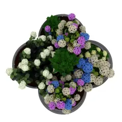 TROPOW 2-Pack Galvanized Raised Garden Bed, Outdoor Planter Box with Open Base for Herbs, Veggies & Flowers