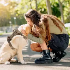 Unique Bargains Breathable Mesh Dog Harness 1 Pc