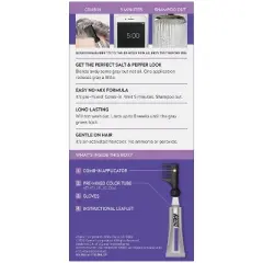 Just For Men Touch of Gray, Gray Hair Coloring for Men's with Comb Applicator Great for a Salt and Pepper Look