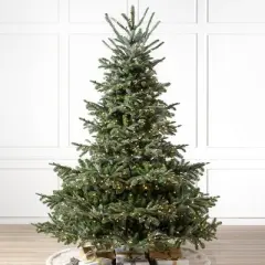 Balsam Hill 7.5' Clear LED European Full Fir Tree