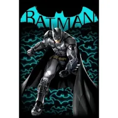 Batman Arkham Character and Title Black Graphic Tee Toddler Boy to Youth Boy